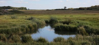 xiaoyong-chen-PJn5UvE2-jk-unsplash